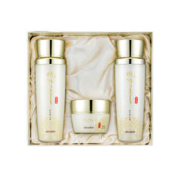 AEGAHOO CHEON JI YOOL PREMIUM SKIN CARE SET
